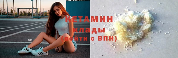 соль ск Дмитриев