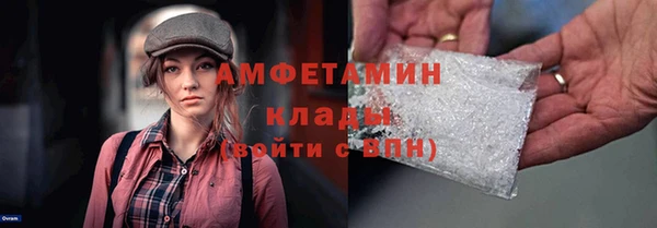 соль ск Дмитриев