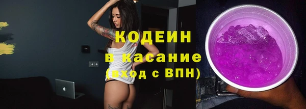 соль ск Дмитриев