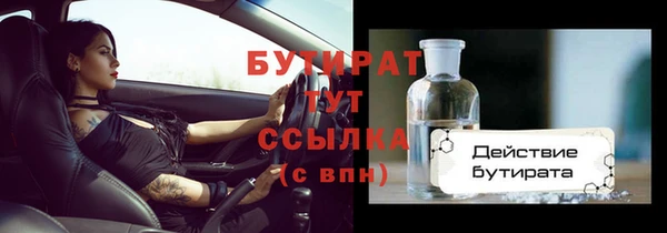 соль ск Дмитриев