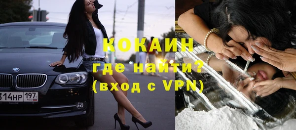 соль ск Дмитриев