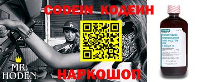 хмурый Бийск