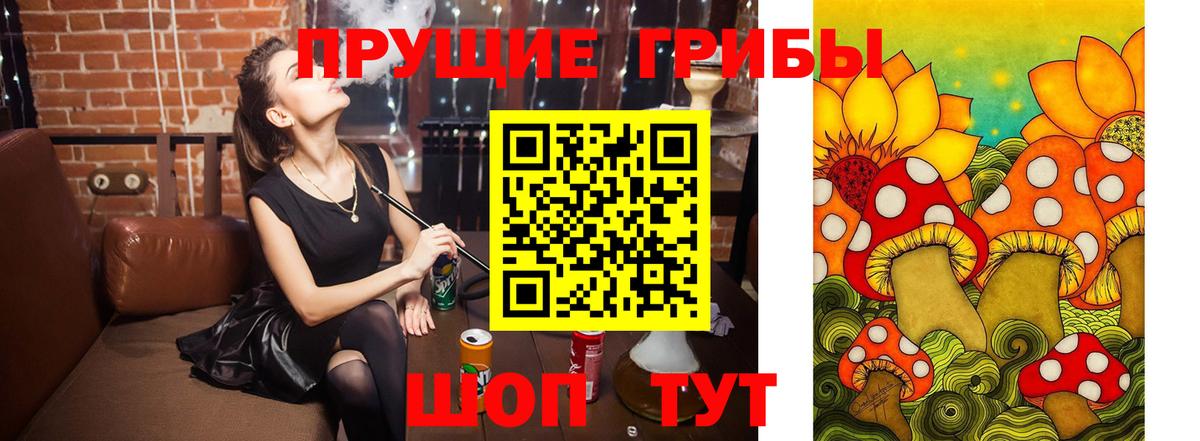 Димитровград  Галлюциногенные грибы GOLDEN TEACHER  Вход с VPN 