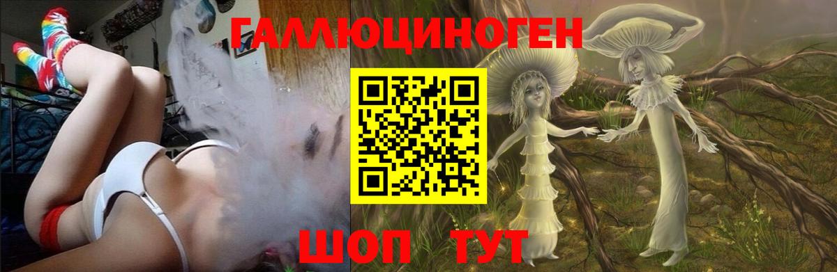 Псилоцибиновые грибы прущие грибы  хочу   Димитровград 